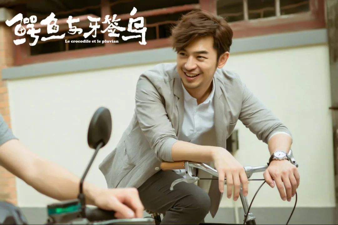 共生的“鳄鱼与牙签鸟”,隐喻95后情感观,藏着生态叙事的新门道