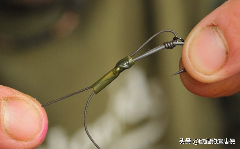 欧鲤钓钓组篇,欧鲤钓组和飞德钓组