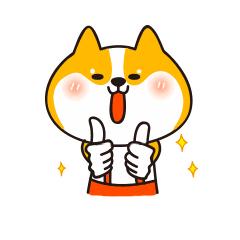 五一劳动节心连心晚会视频直播,五一活动快来看看