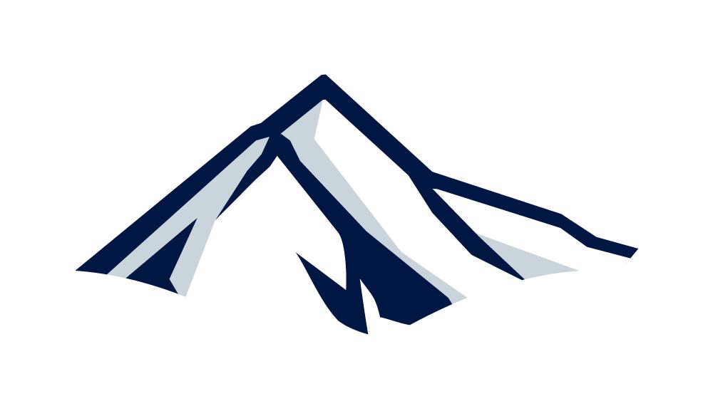 新疆天山雪豹队logo,天山雪豹足球俱乐部中甲