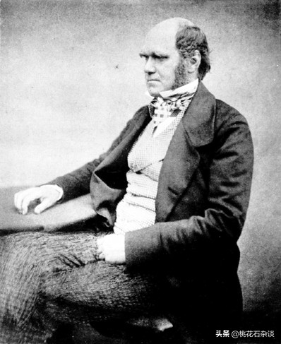 进化论为什么被移出教科书了,进化论具体是怎么进化的