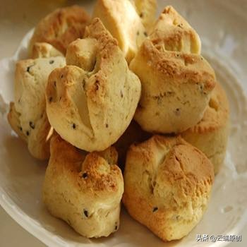 羊脚蹄盆景,羊脚蹄批发直播