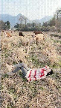 把中间的门店租下来取什么名字好,租下门面不知道取什么名字