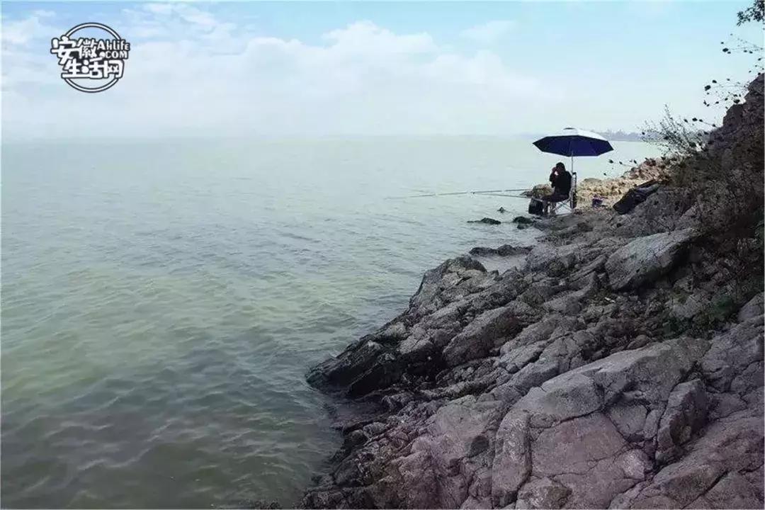 2022合肥必去的13个免费景点,合肥一日游景点推荐排名最新