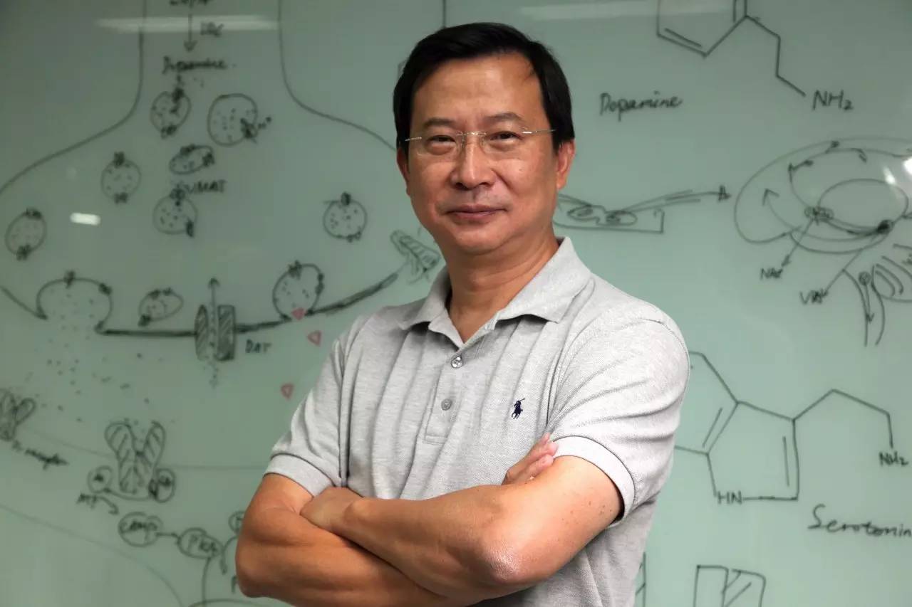 高校副处级干部和副教授,大学教授和公务员级别对比