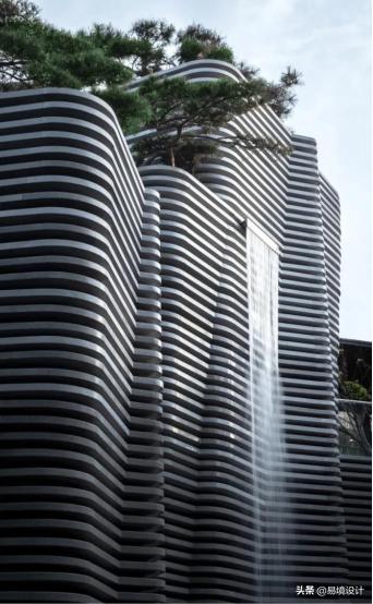 易境自然景观,易境共享茶室