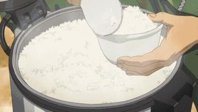 “君食一餐饭，三日齿留香”，东北大米为什么好吃呢？