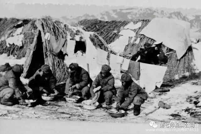 建设兵团1974年老照片,生产建设兵团老照片