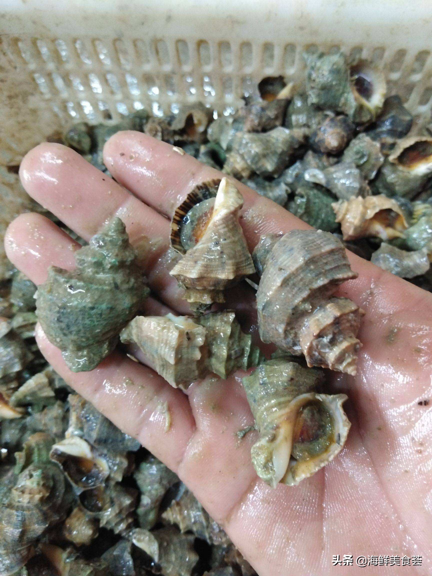 最好吃的海鲜城市排名,沿海城市海鲜又便宜又好吃