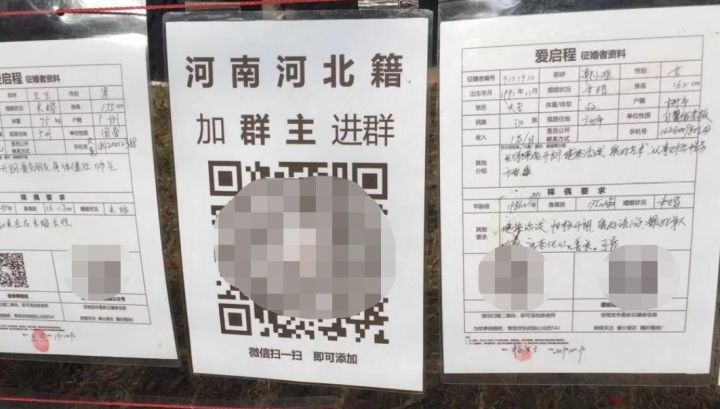 在相亲角逛了一圈，我们差点脱不开身