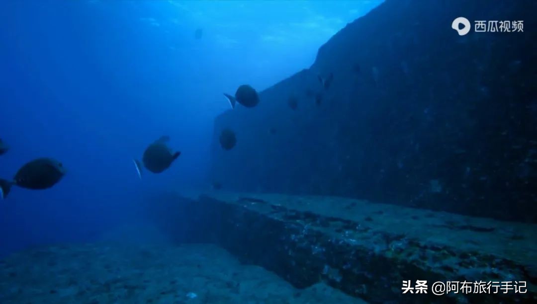 豆瓣9.1分，看过不足1500人，我却复盘了张日本最全野游图