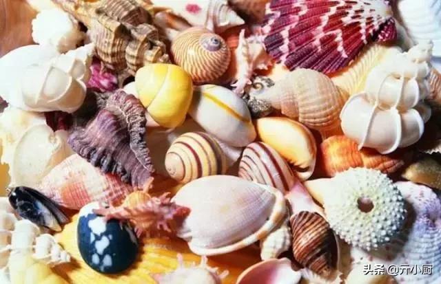 三亚有什么特产带回家送礼的,在三亚有哪些好吃的特产