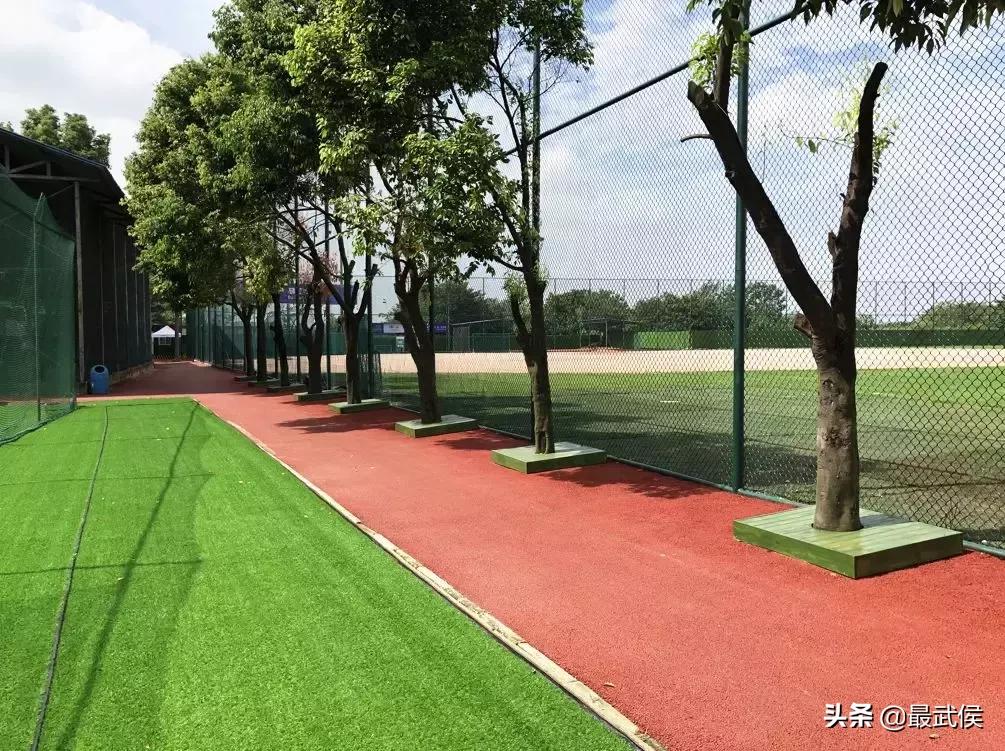 成都世警会比赛时间表,成都世警会比赛视频直播