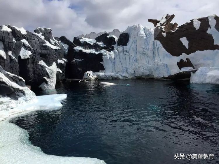德克萨斯达拉斯分校好吗,德克萨斯大学相当于国内什么大学