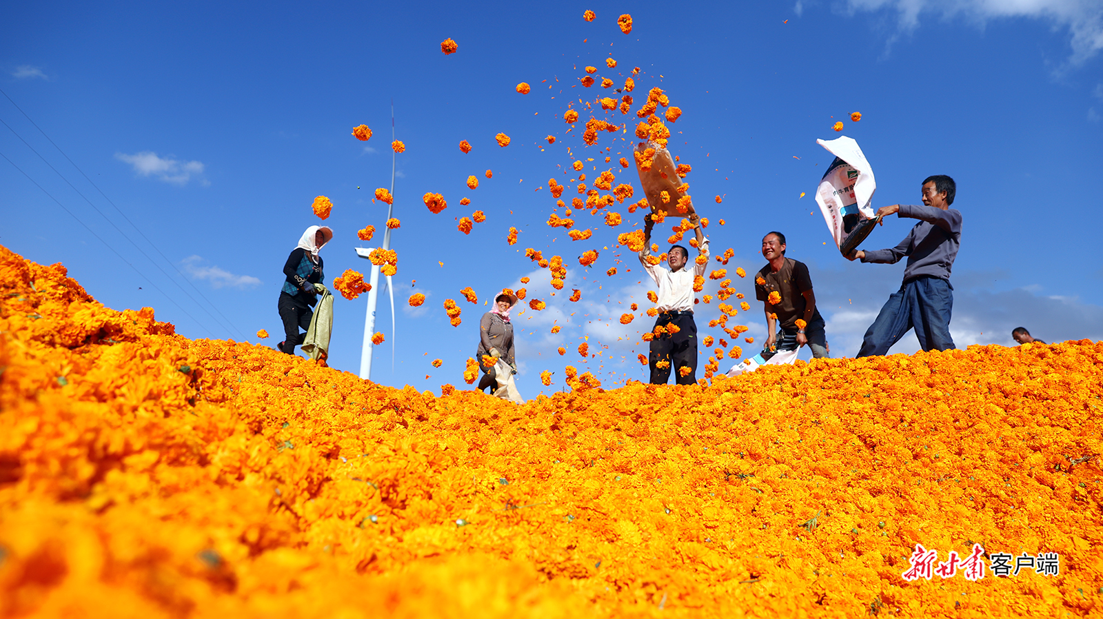 从百年*党**史中汲取奋进力量意气风发迈进新时代新征程——甘肃省干部群众热议*党**的十九届六中全会精神