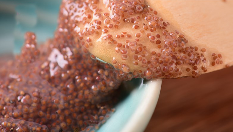 水草种子属于农作物种子吗,水草种子靠谱么