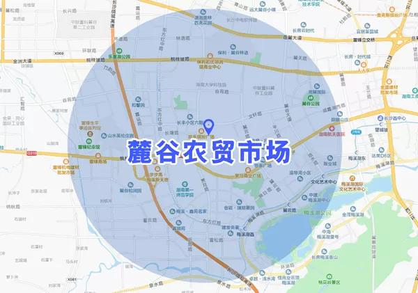 长沙市雨花区智慧农贸市场在哪里,长沙新农贸市场最新消息