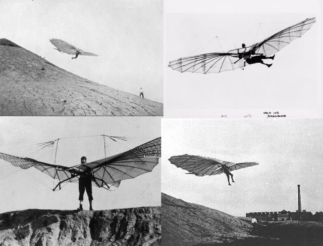 我们怎样才能飞?(2)——飞行的起源