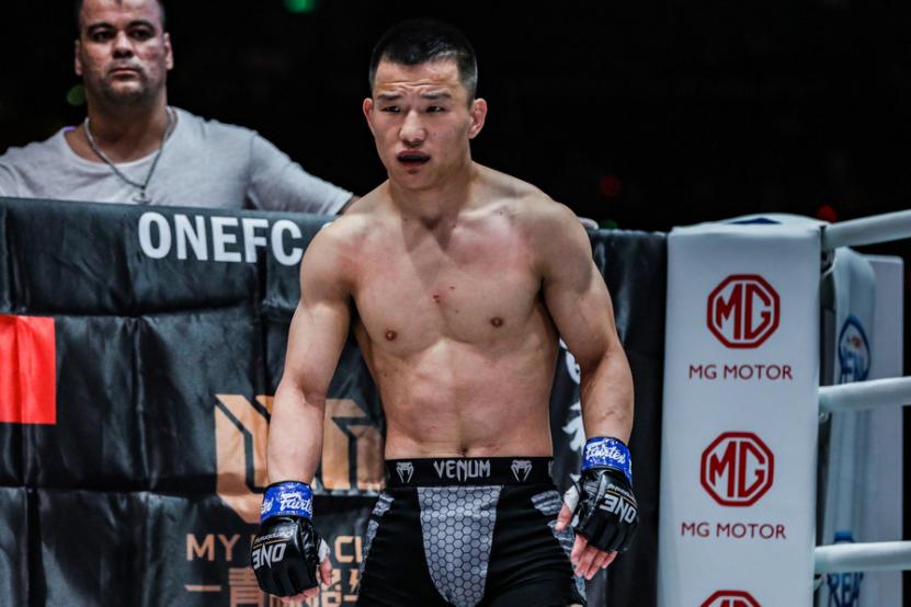 少林小子苗利涛近况,少林武僧苗利涛全集