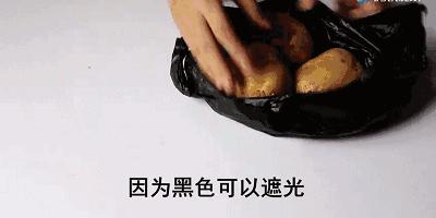 发芽的土豆炒熟了还有毒吗,土豆发芽可以吃吗有毒吗