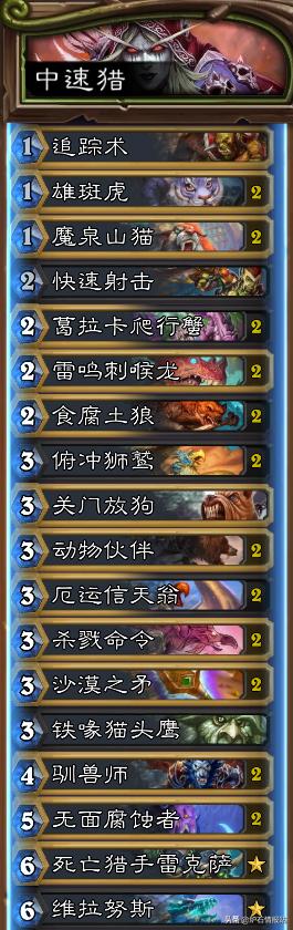 炉石传说狂野卡牌在哪,炉石传说狂野竞技场的卡牌