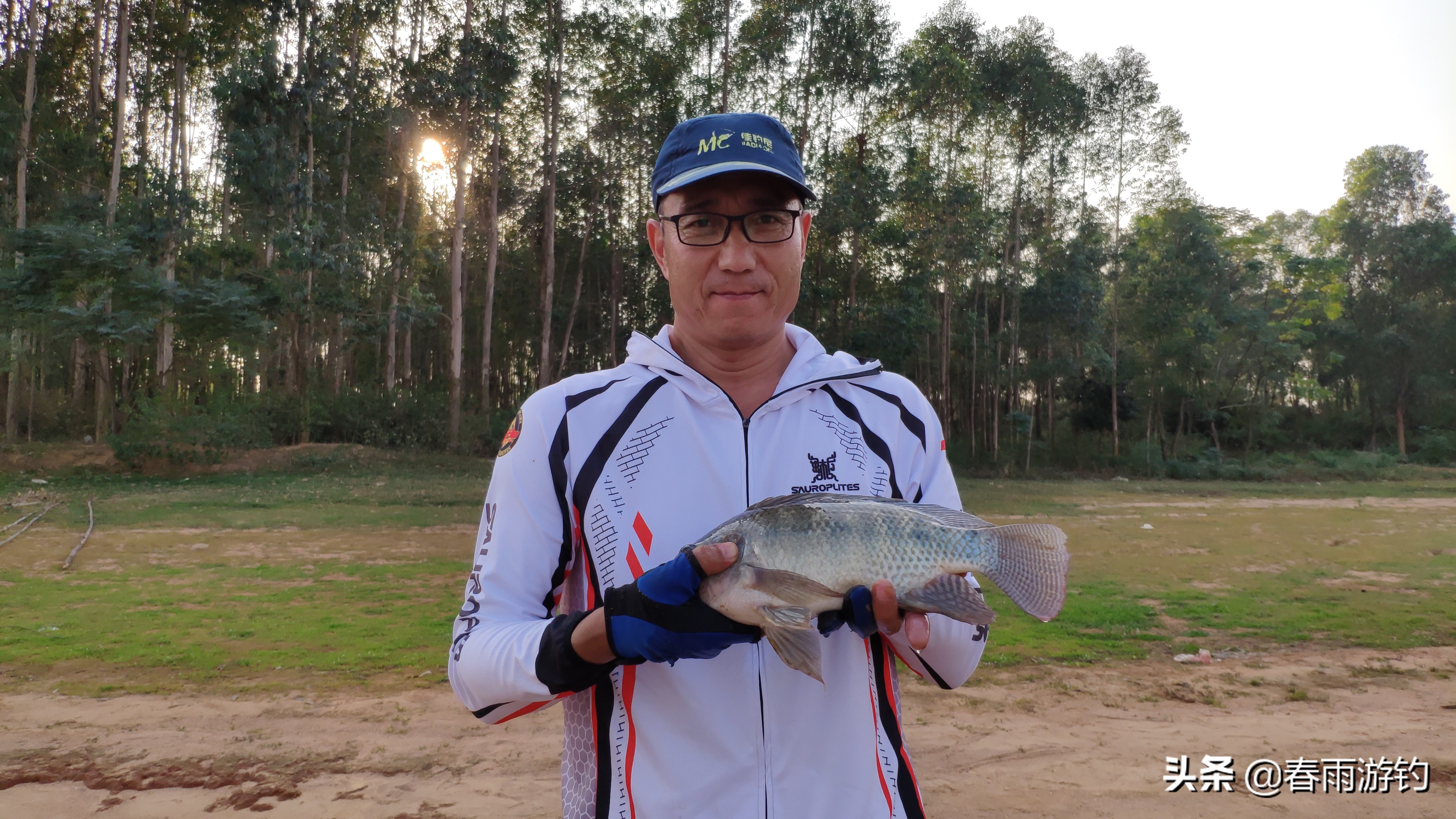 邕江小罗非闹窝,北海清水江钓罗非