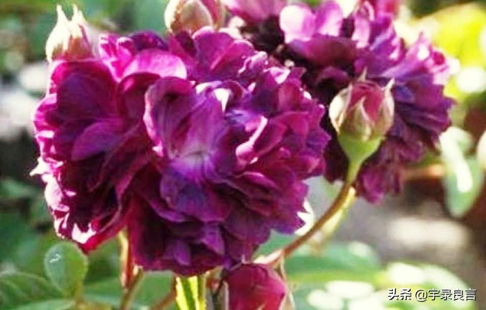 个性签名简短精辟的句子,有深度的个性签名句子短句