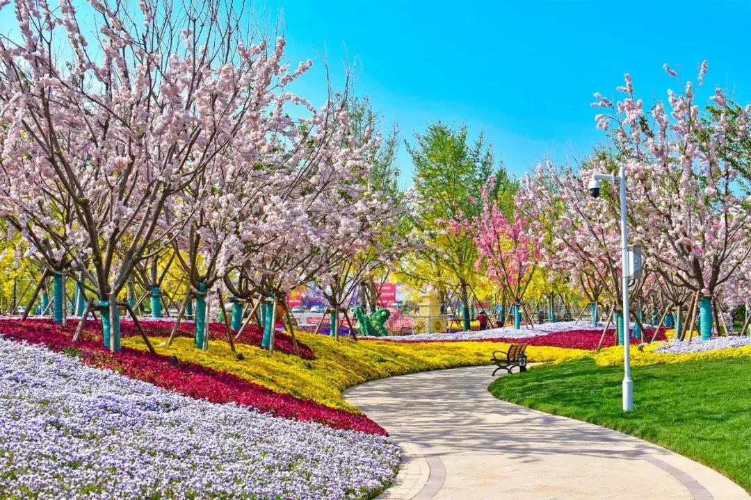 恒大为什么做文化旅游城,各地恒大文化旅游城最新动态