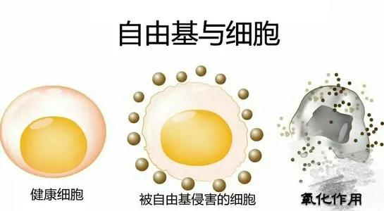 老年人消除老人味的最好方法,老人身上为什么有老人味中医解释