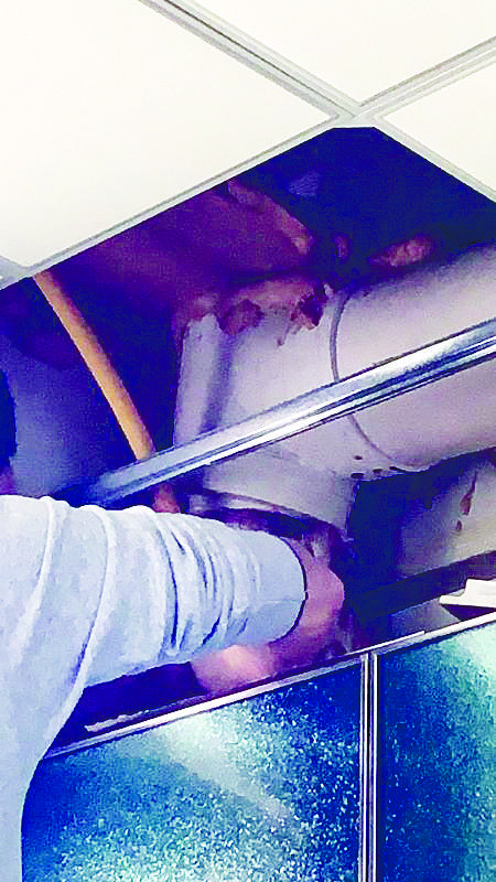 安华美郡小区排烟道两次掏出死鸡哪儿来的？