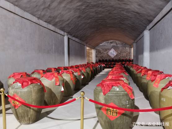 百年非遗老陈醋,醋百年古法传承