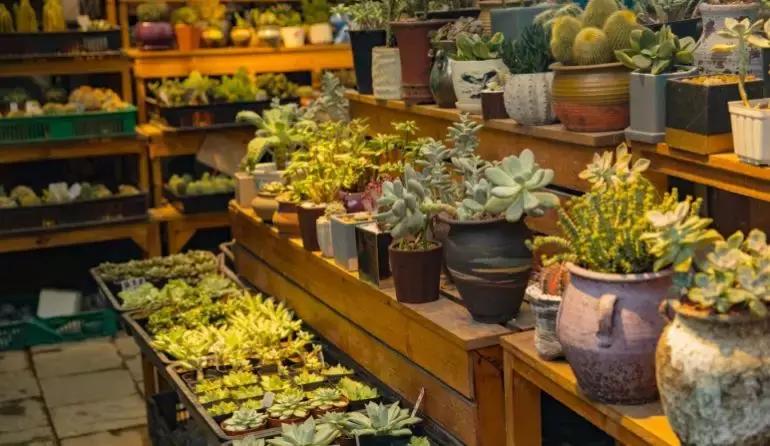 深圳最具特色的十个小镇,深圳深业特色小镇在哪里