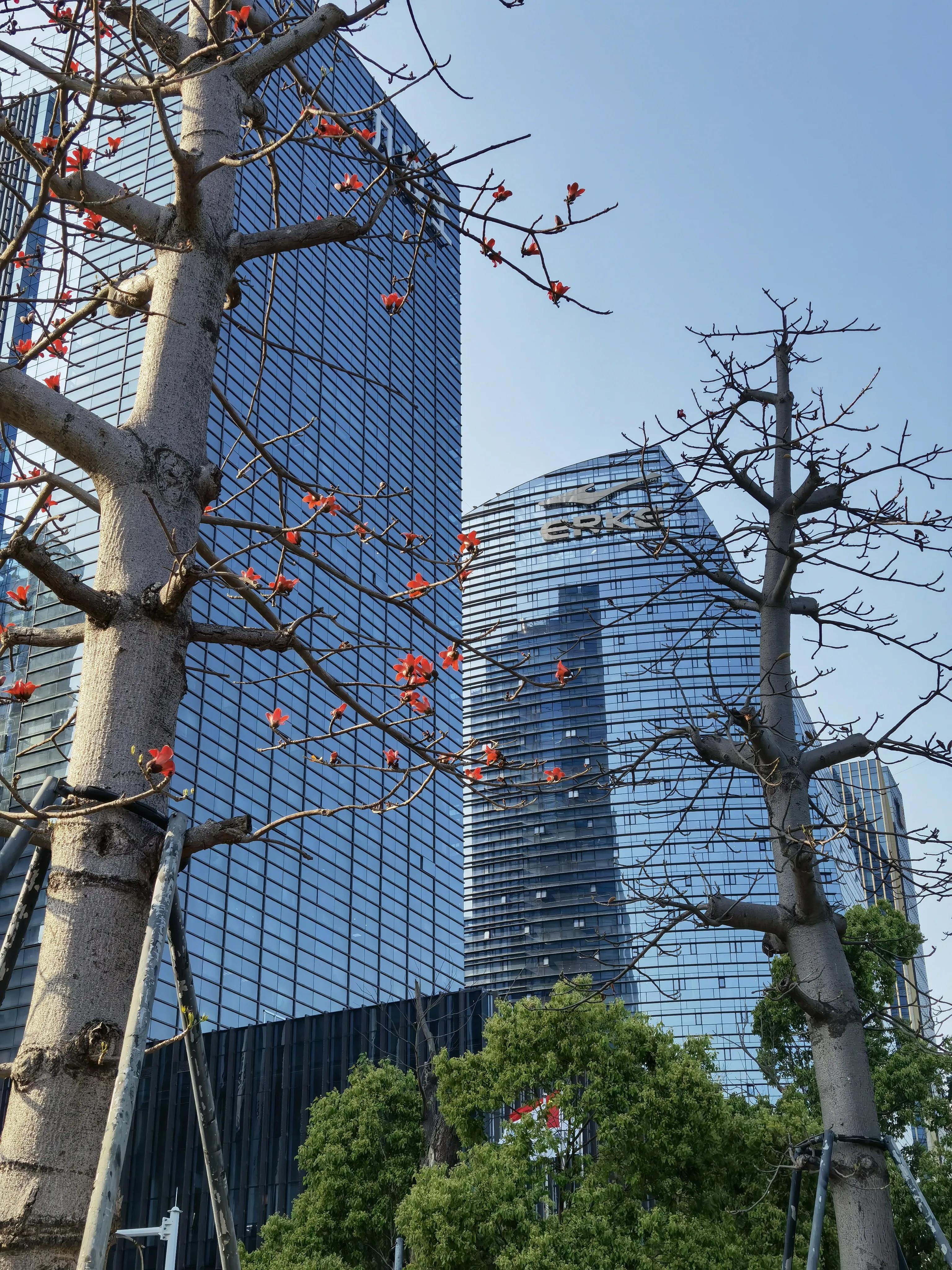 鍘﹂棬鍝噷鏈変綋鑲茬敤鍝佸簵,鍘﹂棬鍝噷鏈夊ぇ鍨嬩綋鑲茬敤鍝佸簵