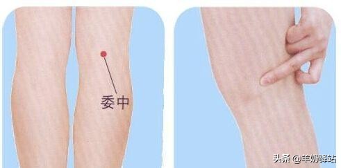 人体十大养生穴位，常按想生病都难