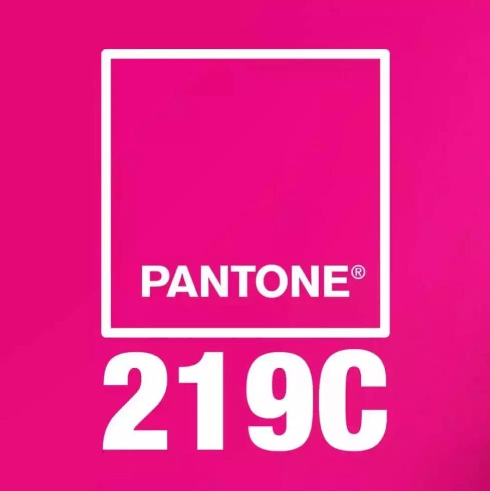 她是全世界最爱微整的女人却得了今年年度时尚偶像奖