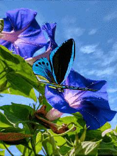 这是我见过最美丽的风景用英语,这是我见过最美的风景啥意思