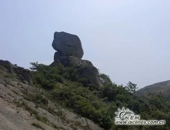 闲着木事儿，你来俺家玩儿呗