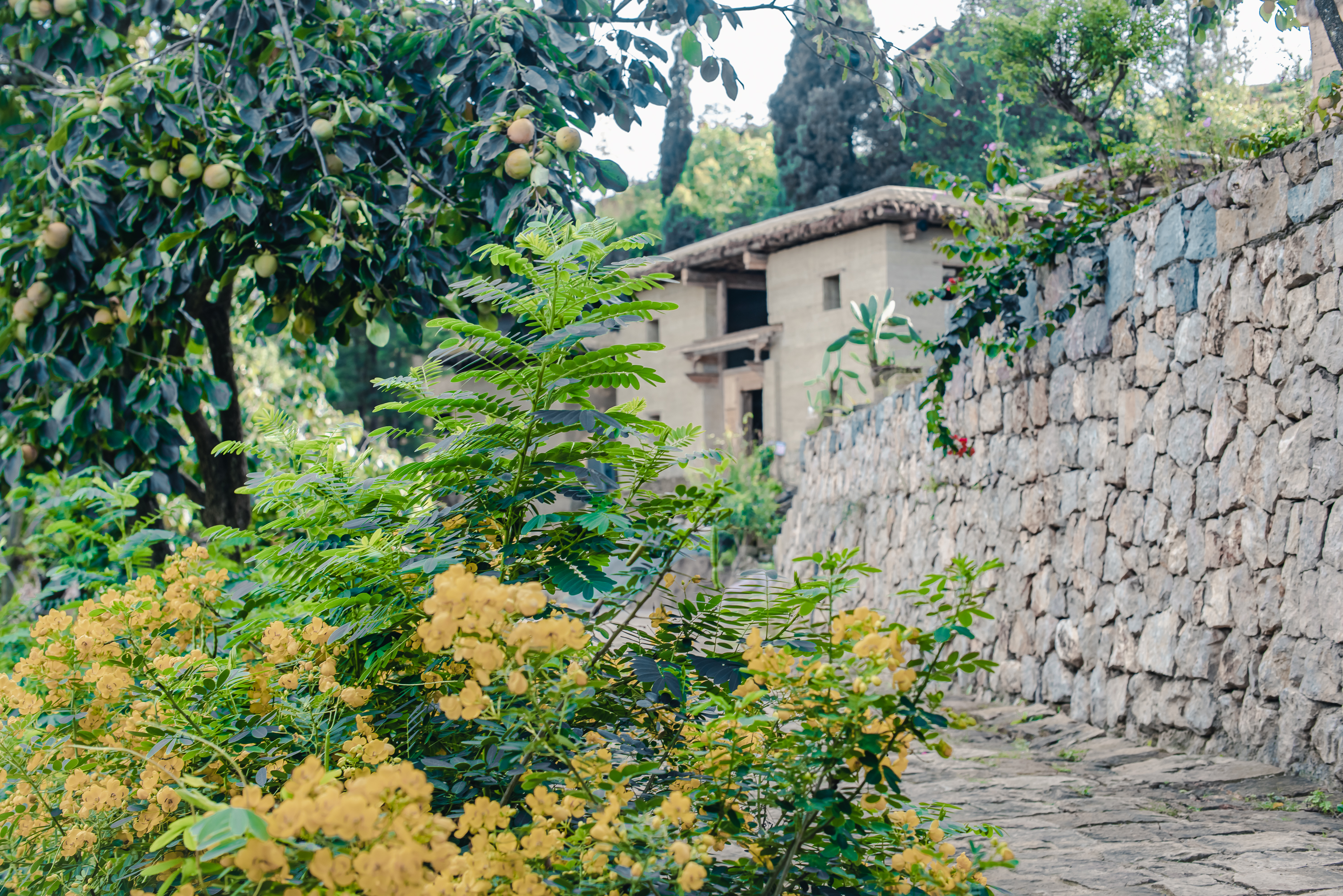 弥勒特色美食推荐,弥勒附近美食8-10人套餐