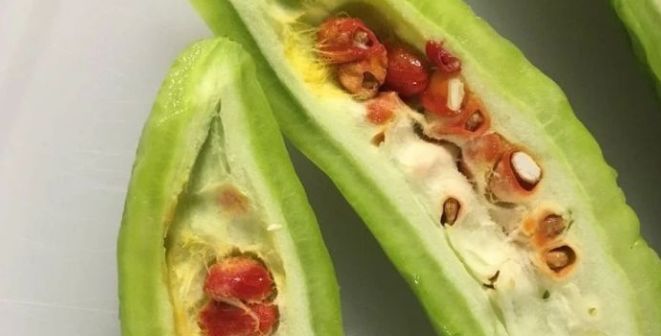 青菜上的虫卵吃了会怎样,一桌食物吃出虫子