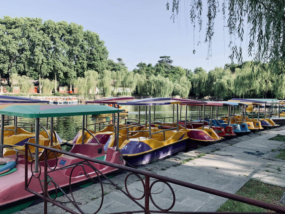 最美的西安兴庆公园,西安兴庆公园一道美丽的风景线