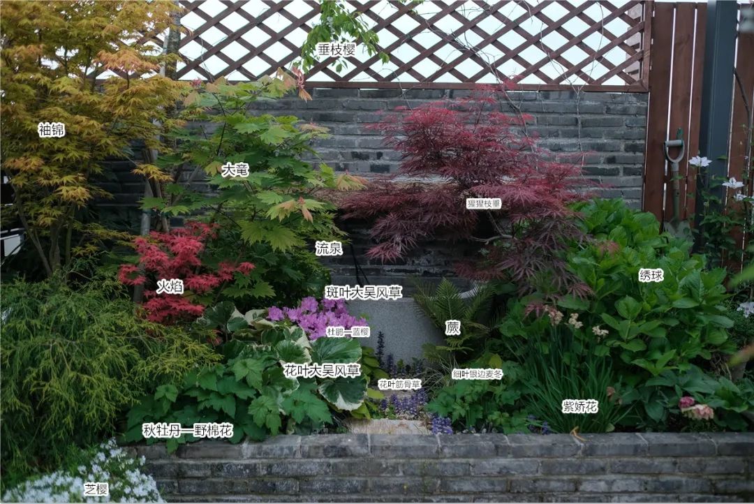 怎样打造露台花园,简单露台花园打造方法