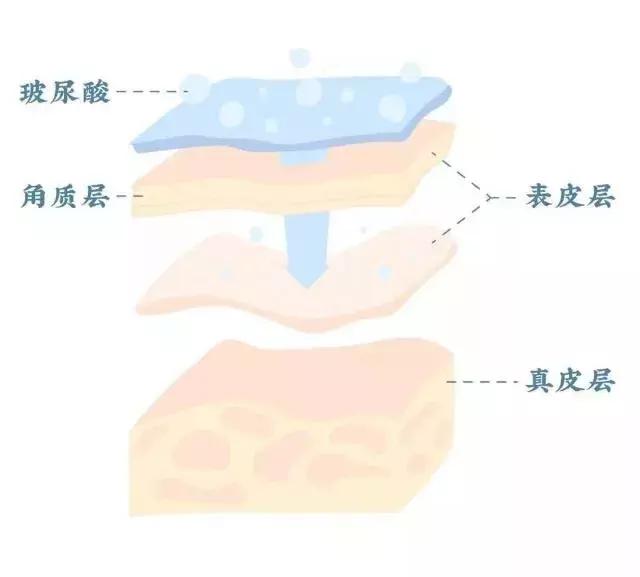 比茅台还暴利的上市公司,国内比茅台牛的八家公司