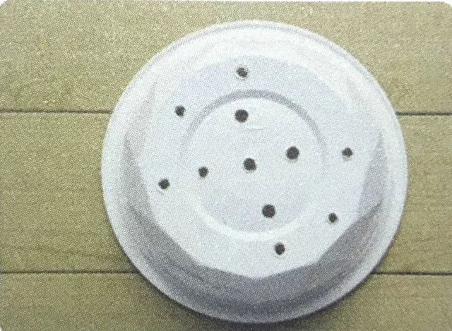 喇叭花的生活习性和怎样开花的,观察一朵花是怎样开花的