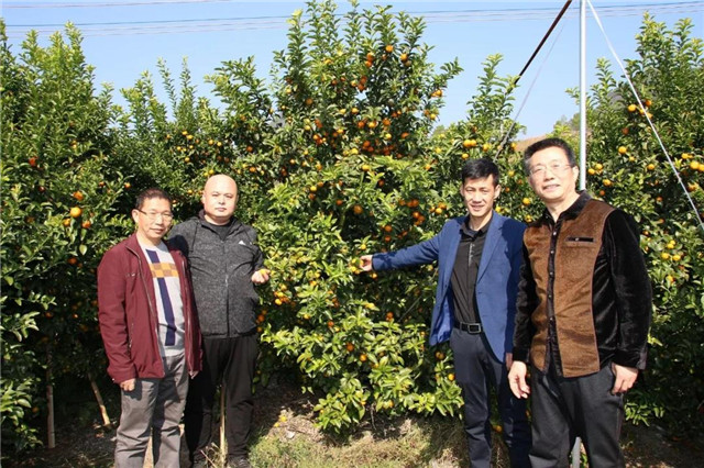 土壤修复的内容,土壤修复与技术