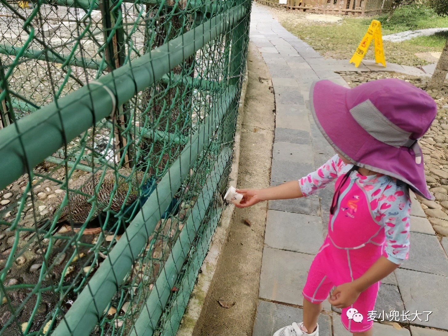 国内clubmed度假村哪个体验感好,clubmed中国哪个地方好