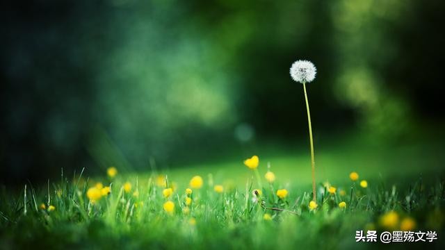 爱了伤了谁,受过的伤还能爱谁