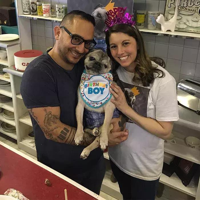 狗子太粘人咋整,家里狗子忽然很粘人