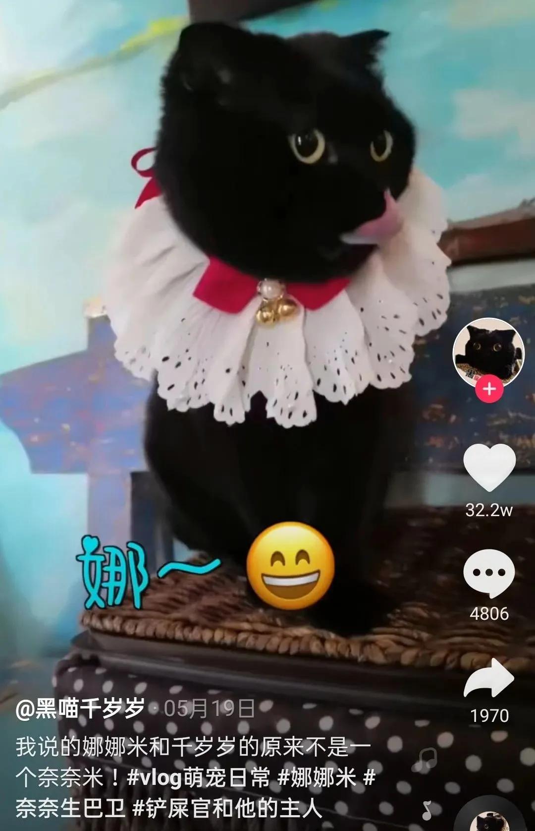 李佳琦大明星,比李佳琦好的狗