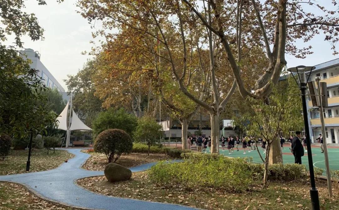 秦外集团最新成员校一年巨变！​