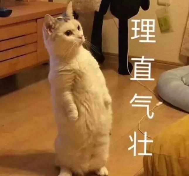 最适合学生家用的打印机排名,最适合家用的打印机及价格